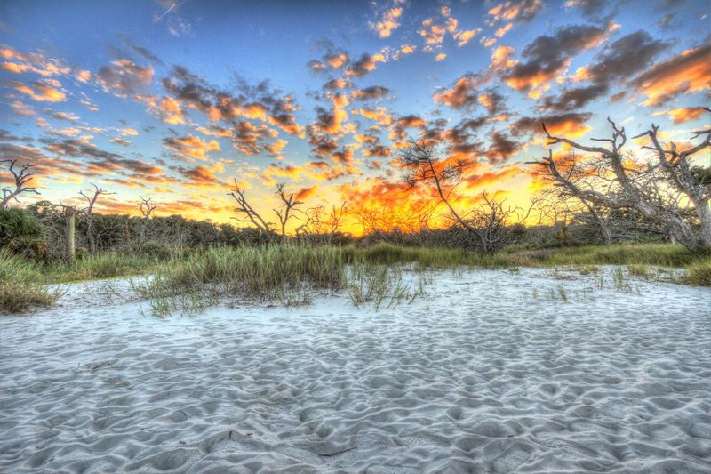 This Georgia Coastal Town Draws So Many Visitors That Finding A Quiet Beach Can Be A Challenge - Decor Hint Wedding Arches And Starry Night Walks
