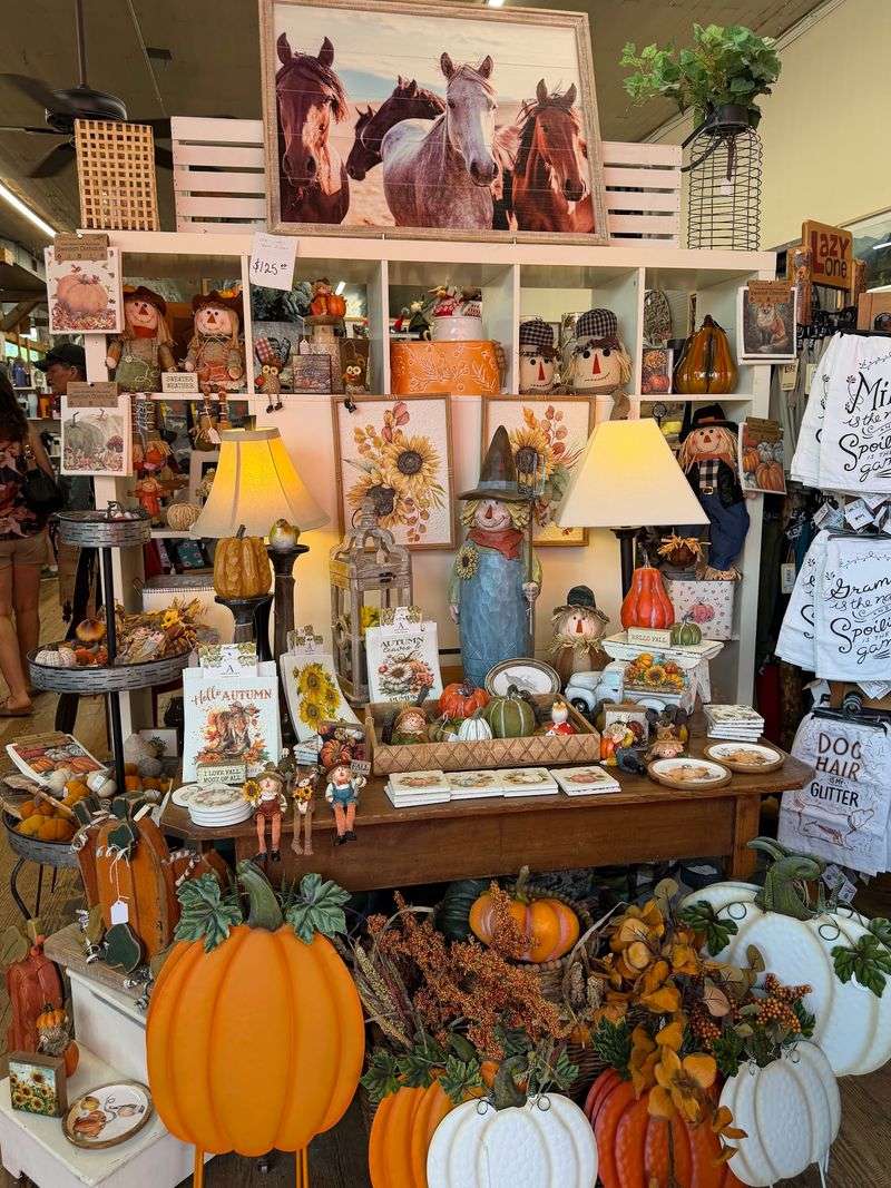 Ellijay: Vampires And Witches On The Town Square