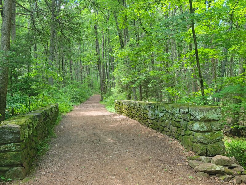 Wadsworth Falls Main Trail, Middletown
