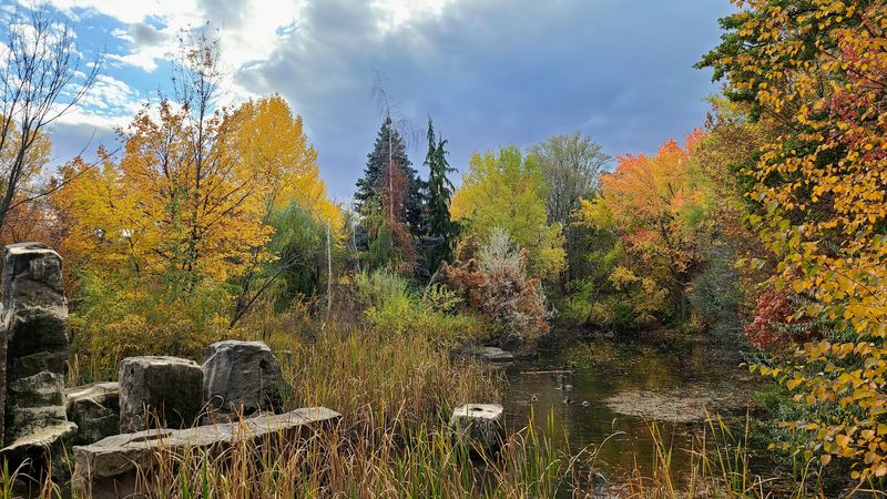 Fall Colors Turn The Ponds Into Mirrors Of Gold