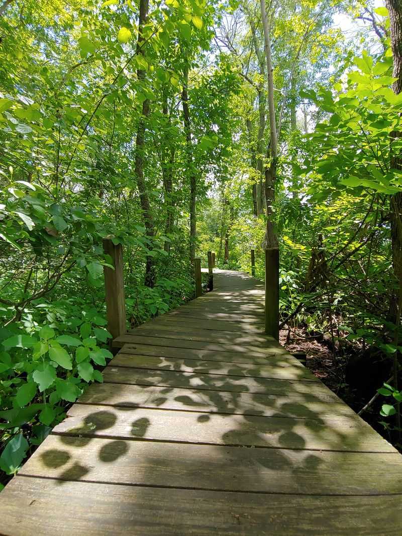 Nothing Beats A Hike Through This Peaceful 1,700-Acre Maryland Sanctuary - Decor Hint Pick A Trail, Any Trail, There Are Nearly 17 Miles