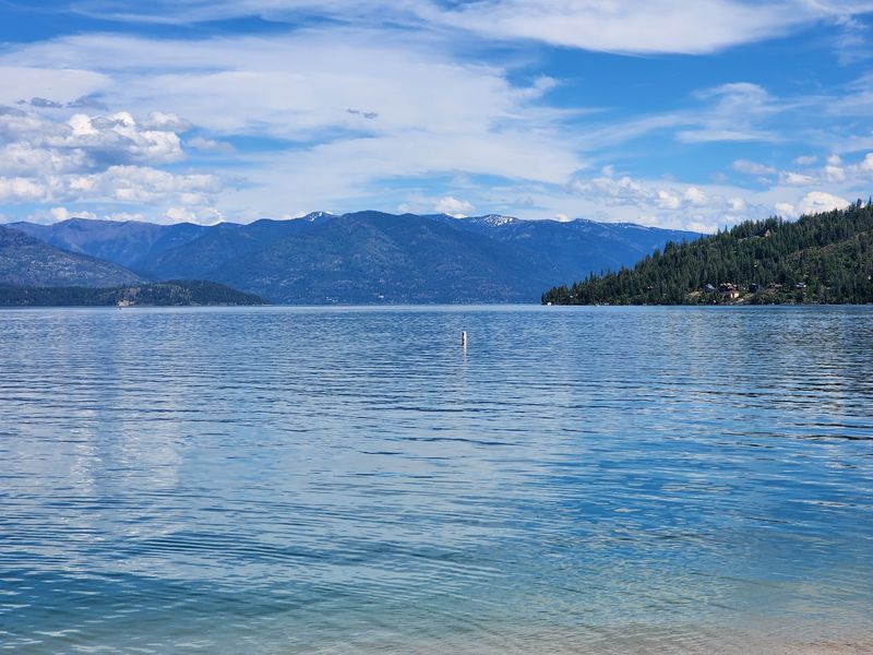 When This Idaho Town Ranked Among America's Best Small Places To Live, Longtime Residents Felt The Change - Decor Hint Bald Eagles Above, Geese Underfoot