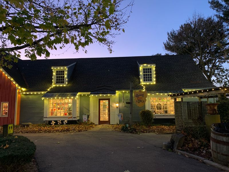 Cat And Dog Lovers Will Feel Right At Home In This Connecticut Gift Shop Filled With Adorable Finds - Decor Hint Santa Makes Room On His Lap For Furry Friends