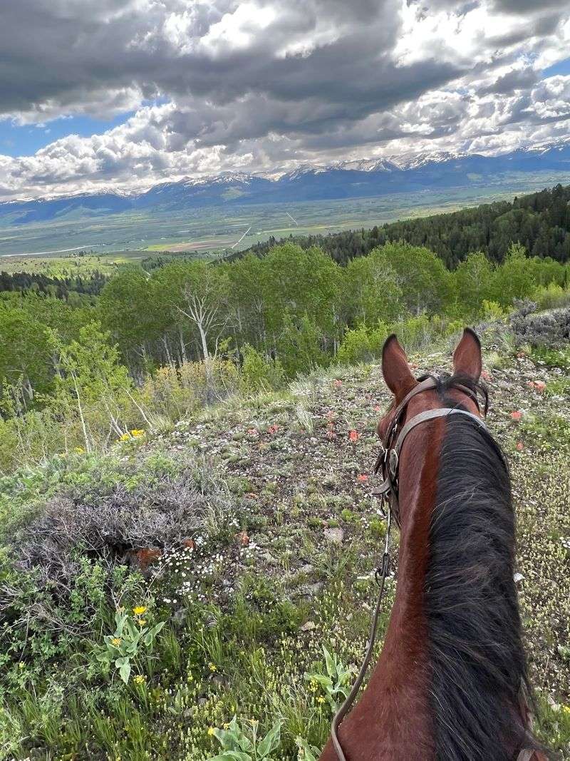 A Family Ranch Sitting Pretty On The West Side Of The Tetons