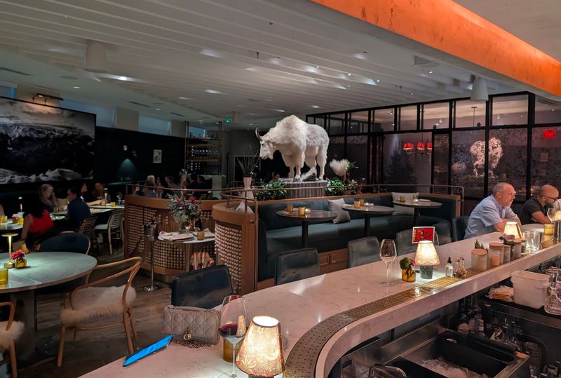 Bar Avize Brings A Looser Vibe And A Patio Worth Bragging About