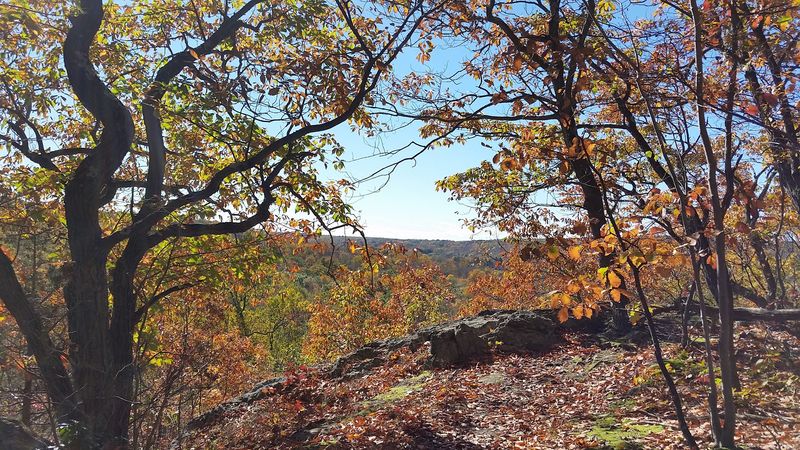 S.L. Pierrepont State Park, Ridgefield
