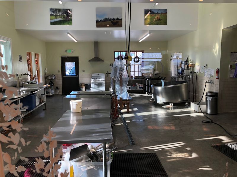 Watch Award-Winning Cheese Take Shape Behind The Glass