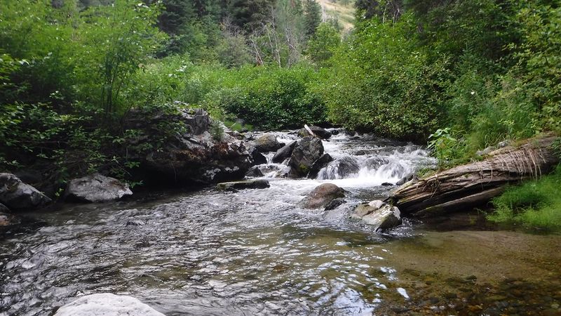 The Boise County Outfit That Sells The Creek, Not A Ticket
