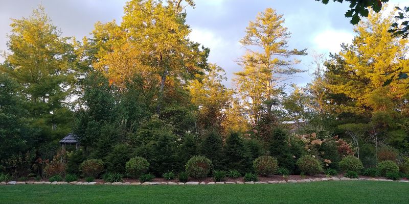 Keep Your Camera Ready For Some Of The Season’s Best Foliage