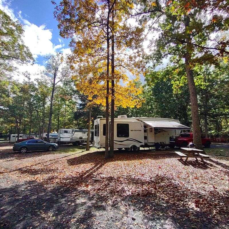 Cozy Cabins And Shady Campsites