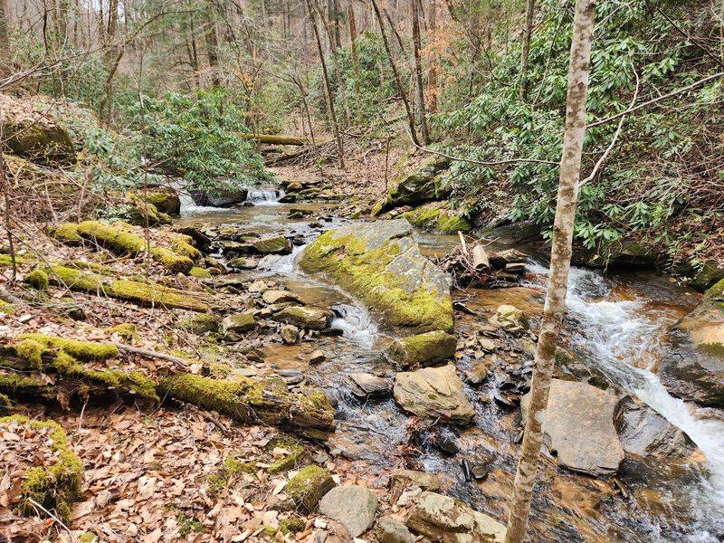 Reservations Are The Secret Weapon Against Leaf-Peeper Chaos