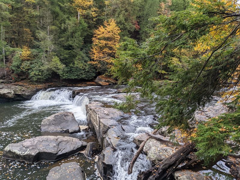 Swallow Falls State Park, Oakland