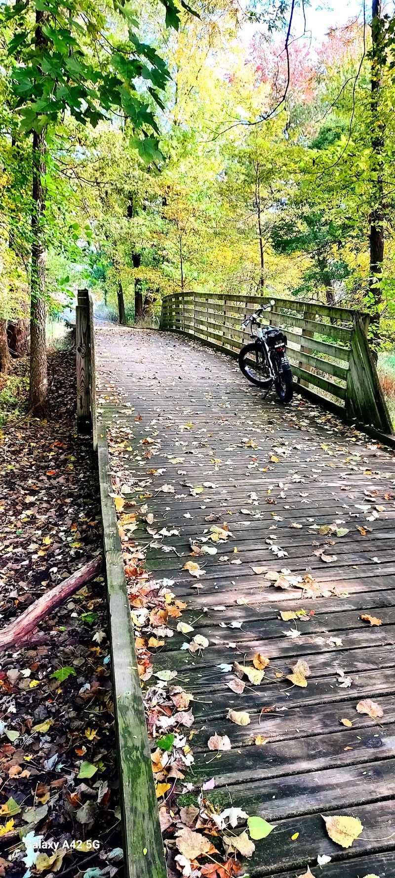 Pumpkinvine Nature Trail | Shipshewana Trailhead