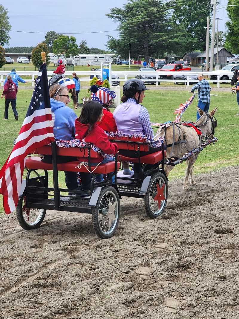 Bring Cash On Saturday If The Amusement Rides Are Part Of Your Plans