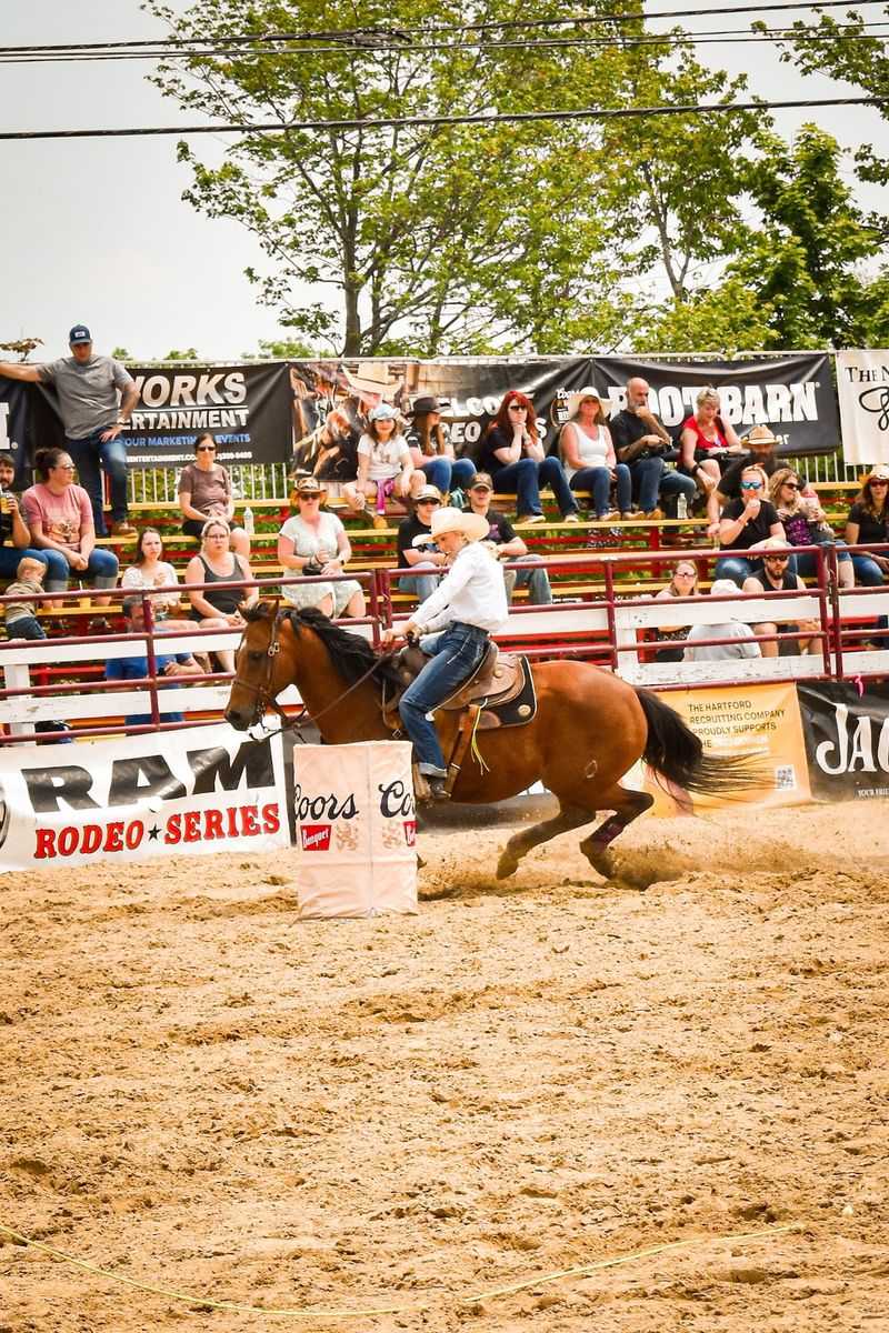 Rodeo Competitions And Skilled Riders