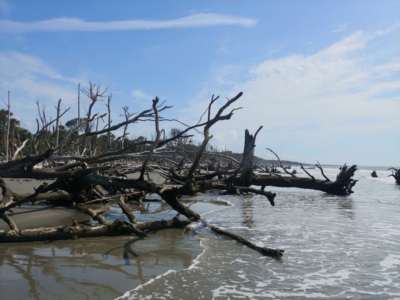 Capers Island, North Of Charleston