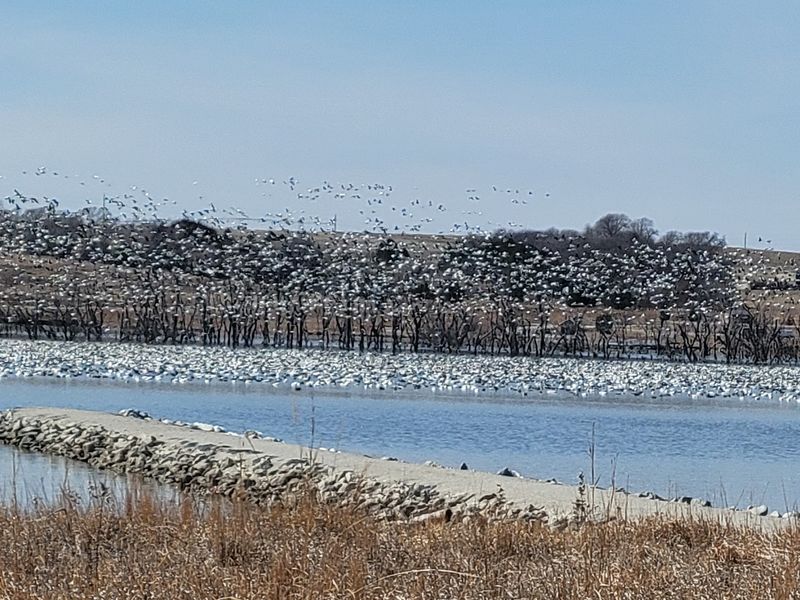 Lake Wanahoo NRD Recreation Area