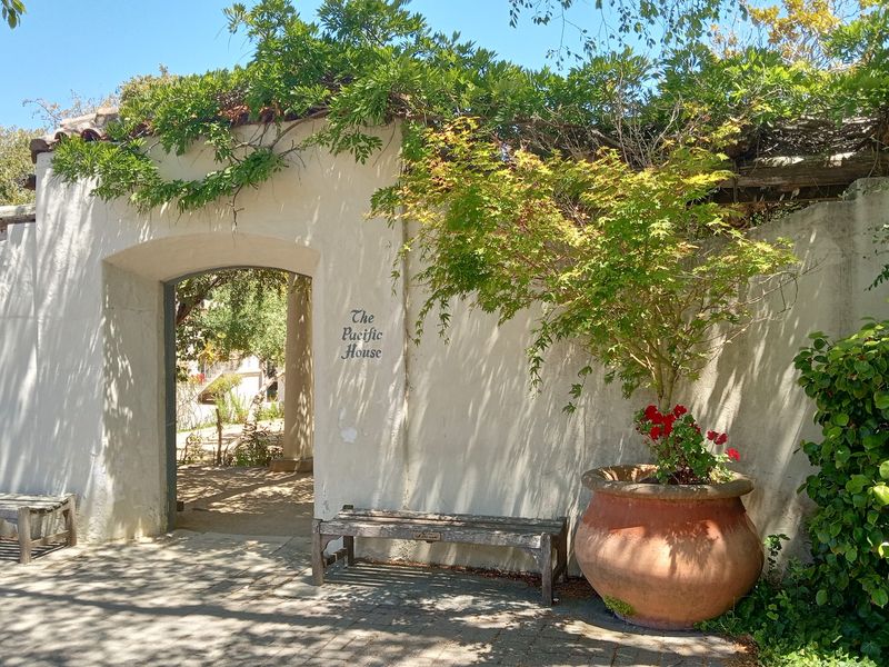 Old Adobes Turn A Simple Walk Into A Time Machine