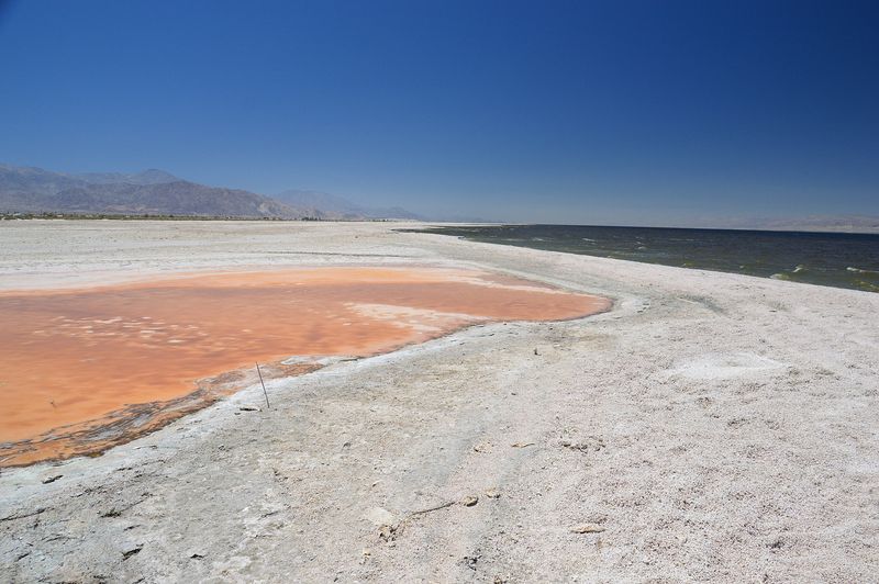 An Engineering Mistake Gave The Desert A Surprise Sea