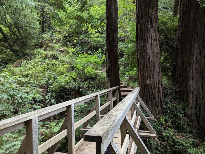 California’s November Hike Of The Month Is A Scenic Trail Worth Exploring Before Winter Arrives - Decor Hint A Short Trail With A Seriously Big Personality