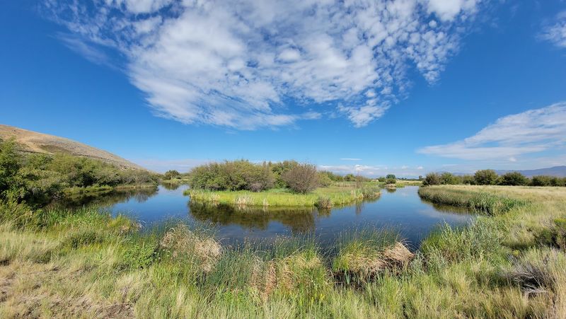 Why Migratory Birds By The Hundreds Stop At These 8 Idaho Wetlands - Decor Hint Silver Creek Preserve, Bellevue, ID