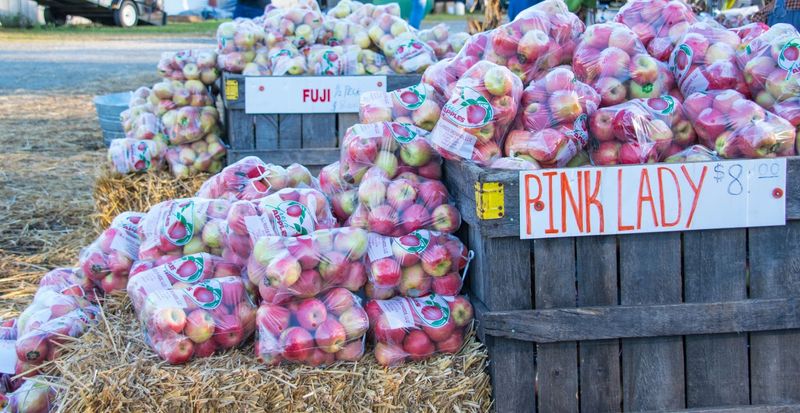 This Massive Georgia Apple Festival Takes Over A Mountain Town For Two October Weekends - Decor Hint A Sweet Story That Began In 1971