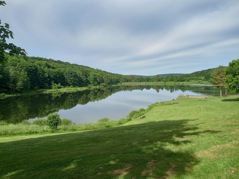 Disc Golf And Picnic Spots Add Another Kind Of Fun