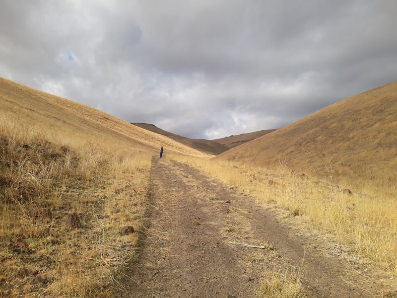 A Rough Road With A Rock-Solid Payoff