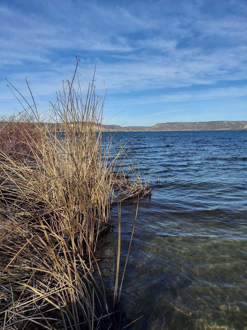 Rockhounds Hunt Blue Agate And Petrified Wood Along This Idaho Reservoir Shoreline When Water Drops In Fall - Decor Hint Wind, Bugs, And Very Little Shade