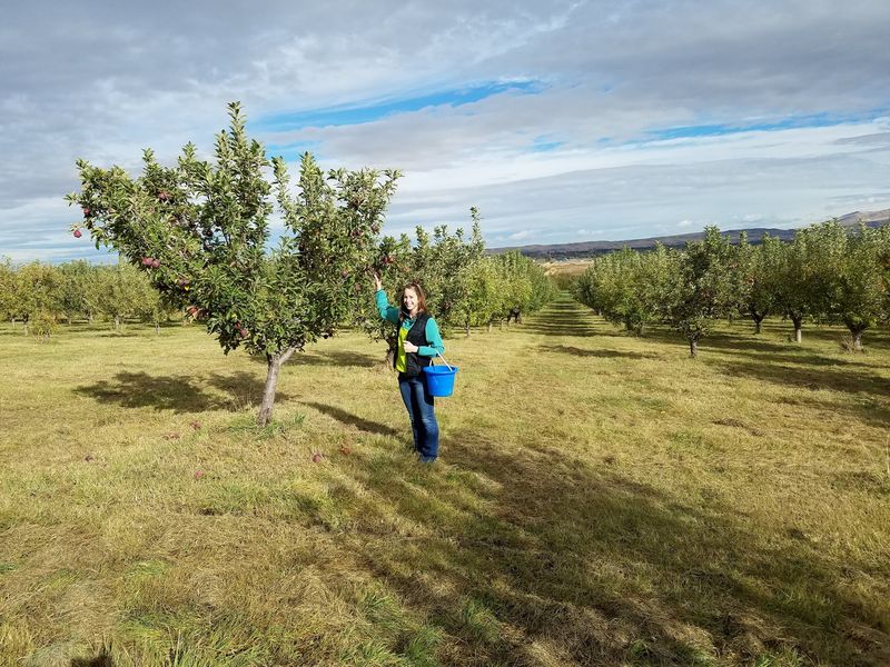 Williams Fruit Ranch In Emmett