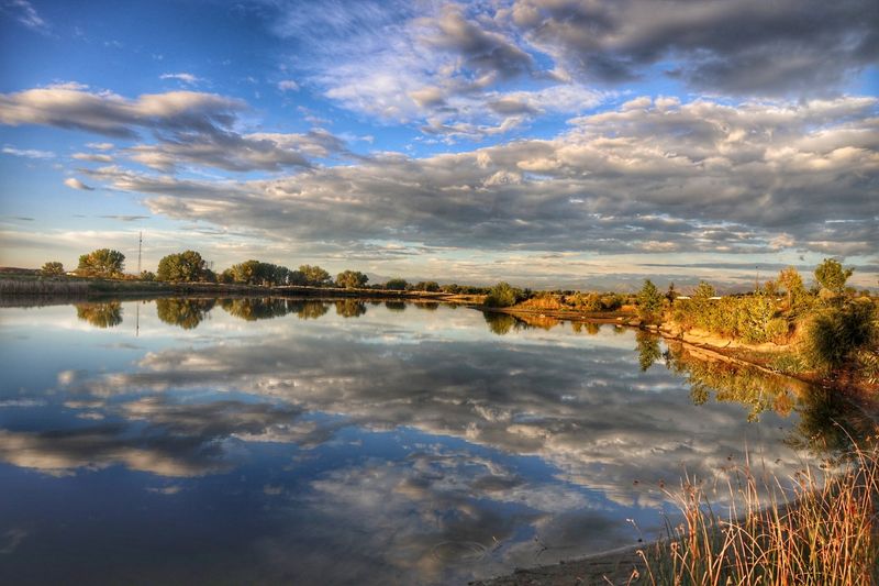 Longmont
