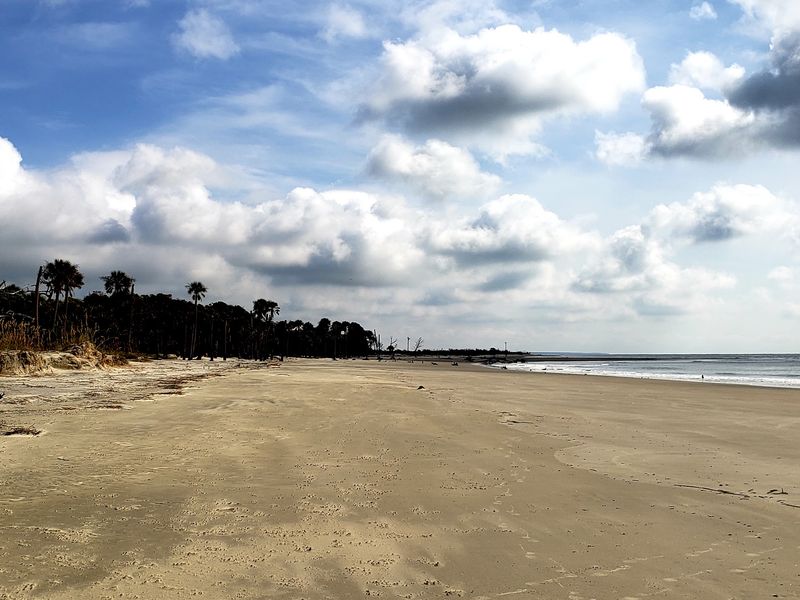 Dewees Island, Near Isle Of Palms