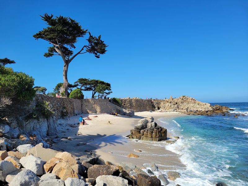 12 Budget-Friendly Day Trips From The California Bay Area That Feel Like A Mini Vacation For Under $65 - Decor Hint Lovers Point Park, Pacific Grove