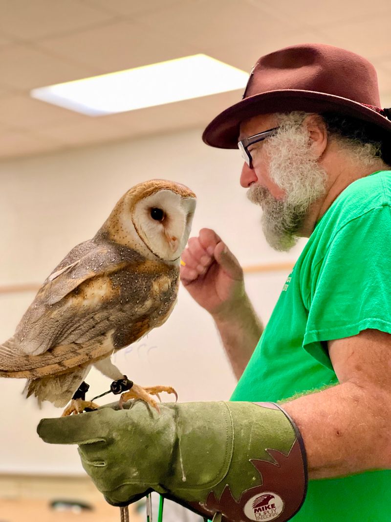 The American Wildlife Refuge