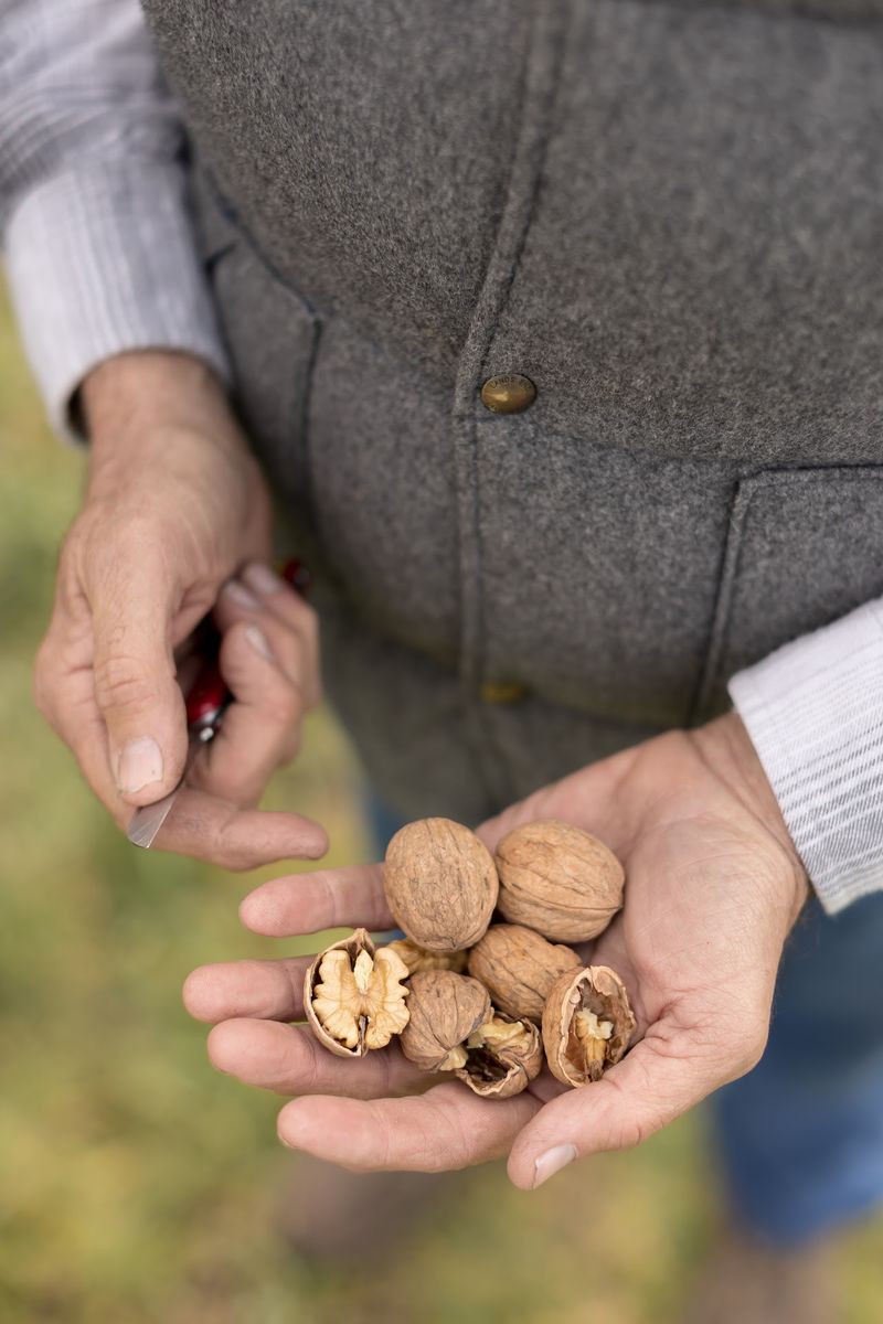Better Walnuts