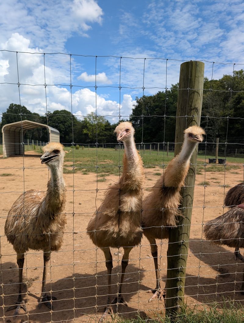 Explore 60 Acres Filled With Animals From Around The World