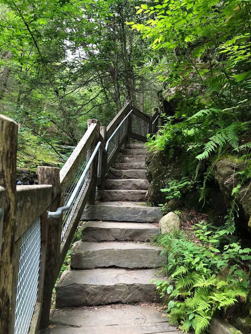 Steps Help With The Steeper Sections