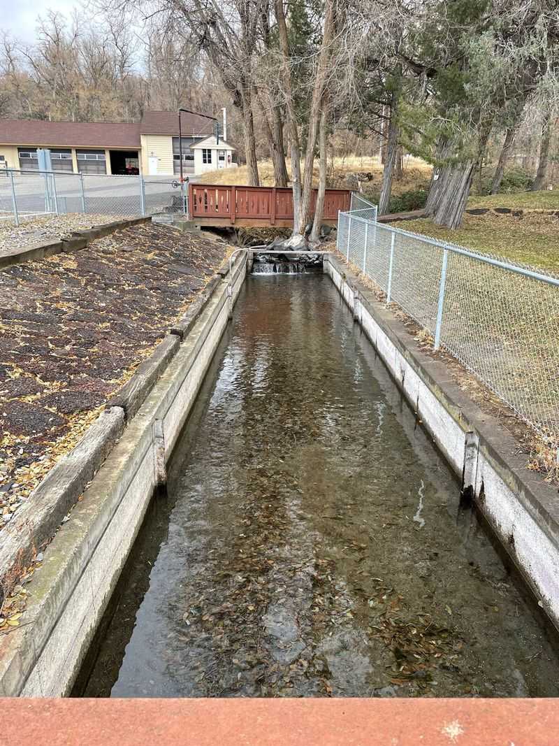 Rainbow Trout Raceways Just Up The Road