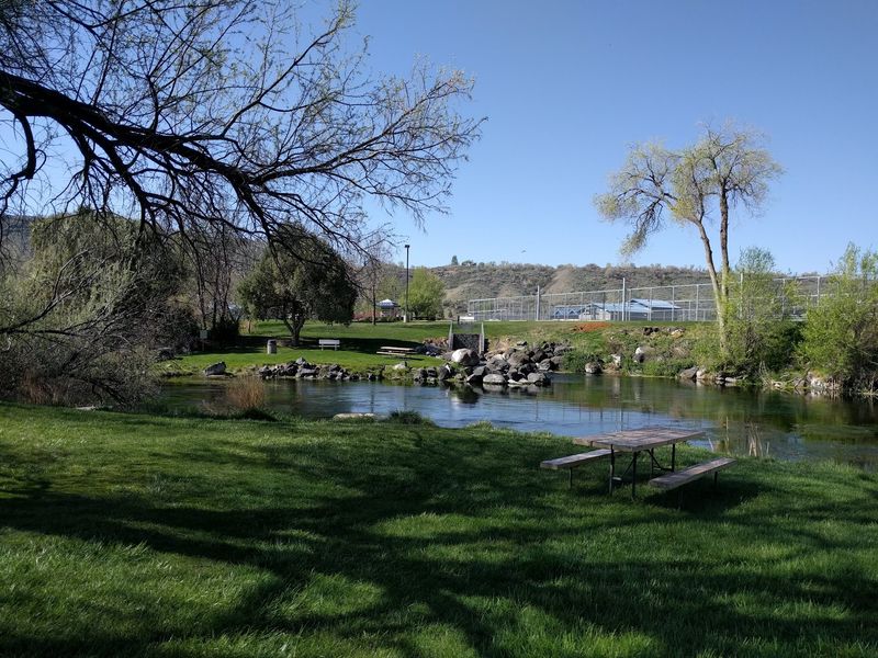 A Very Large Fish Hatchery Down The Road