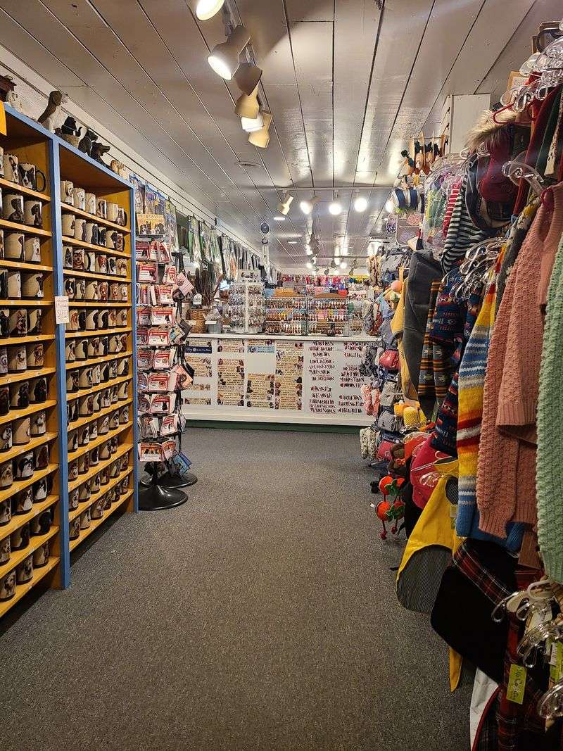 Cat And Dog Lovers Will Feel Right At Home In This Connecticut Gift Shop Filled With Adorable Finds - Decor Hint A Beloved Shop Came Back, And Pet Lovers Cheered