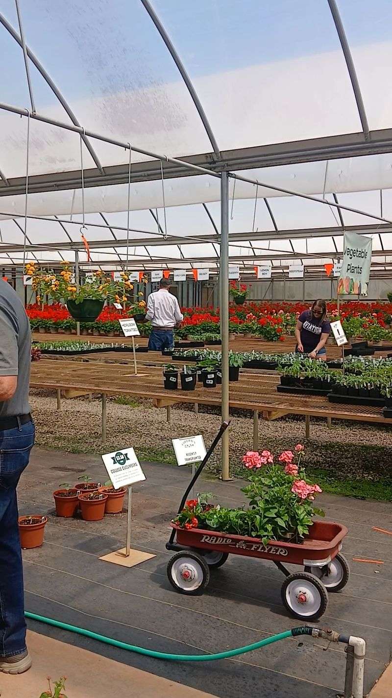 Friendly Advice From People Who Actually Grow Things