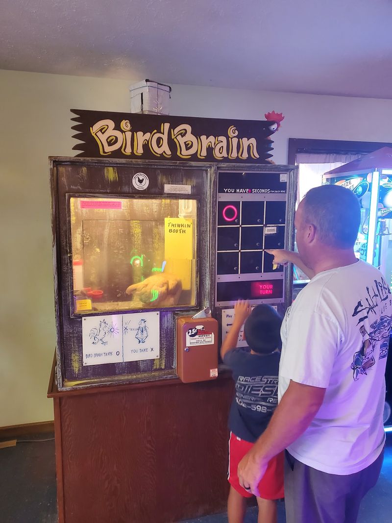Quarters, Tickets, And A Tic-Tac-Toe Chicken