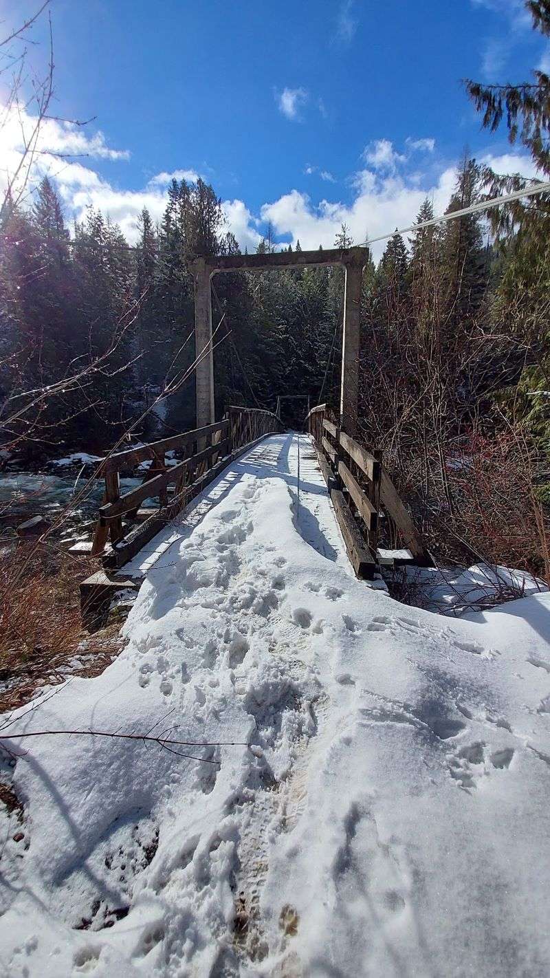 Warm Pools Waiting At The End Of A Forest Trail