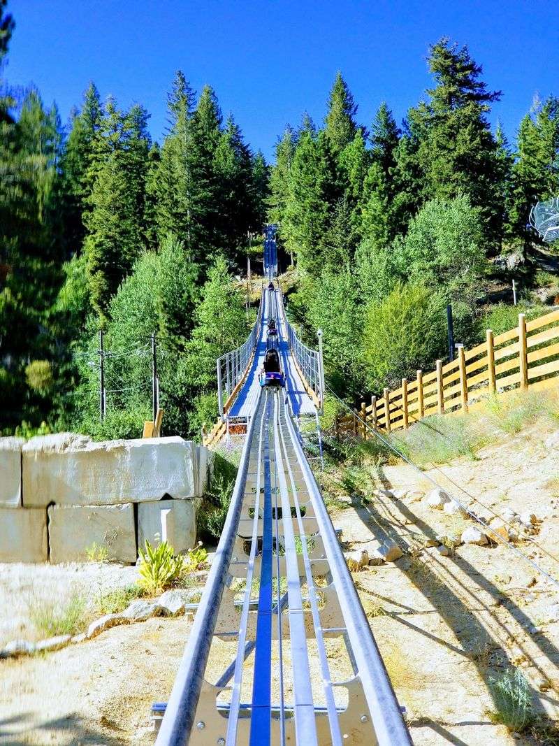 Coaster Rides And Bungee Bounces