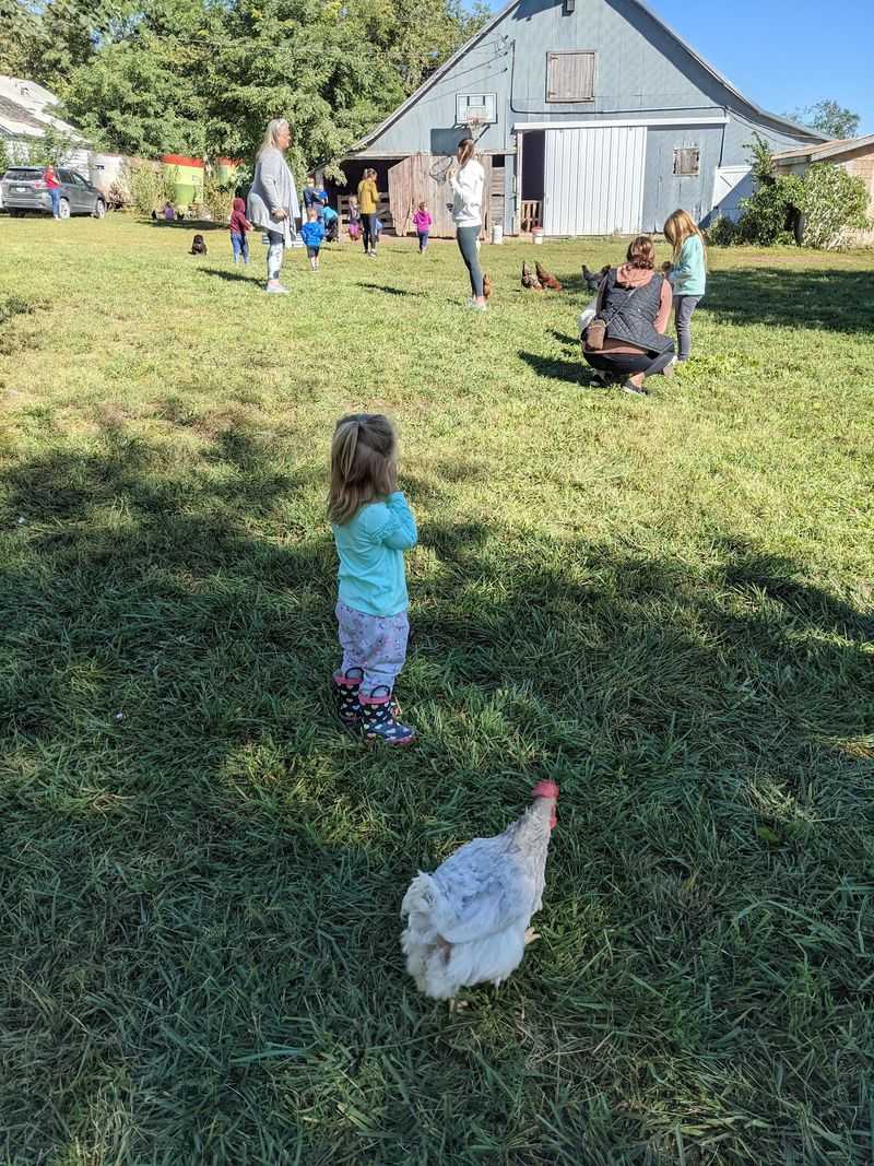 The Little Red Farm In Palmyra