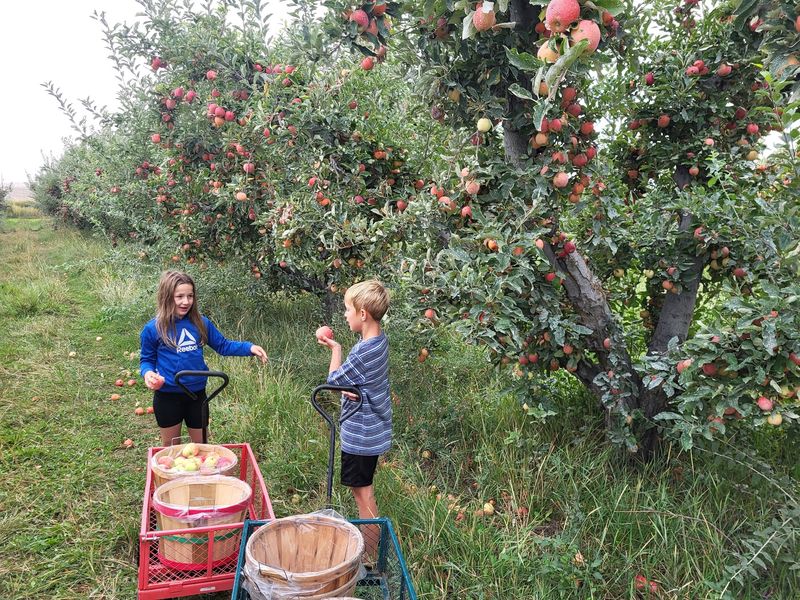 Cabalo's Orchard and Gardens In Kuna