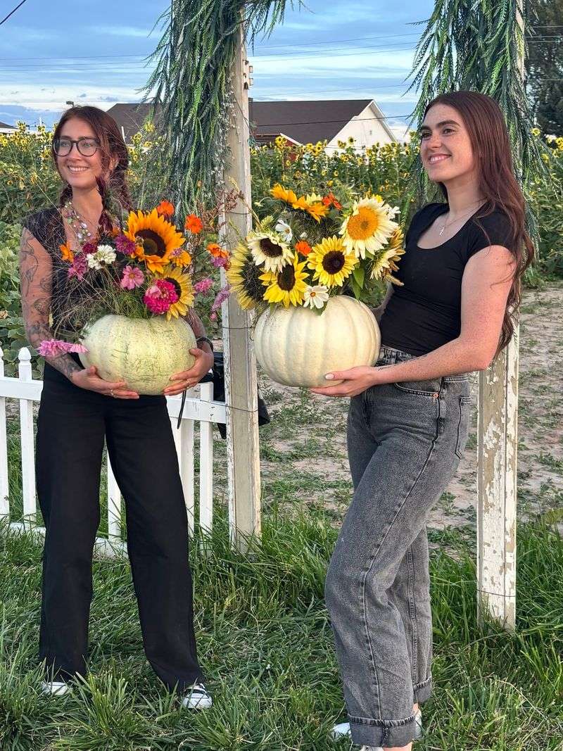 New Sweden Farms Idaho Falls Corn Maze and Pumpkin Patch In Idaho Falls