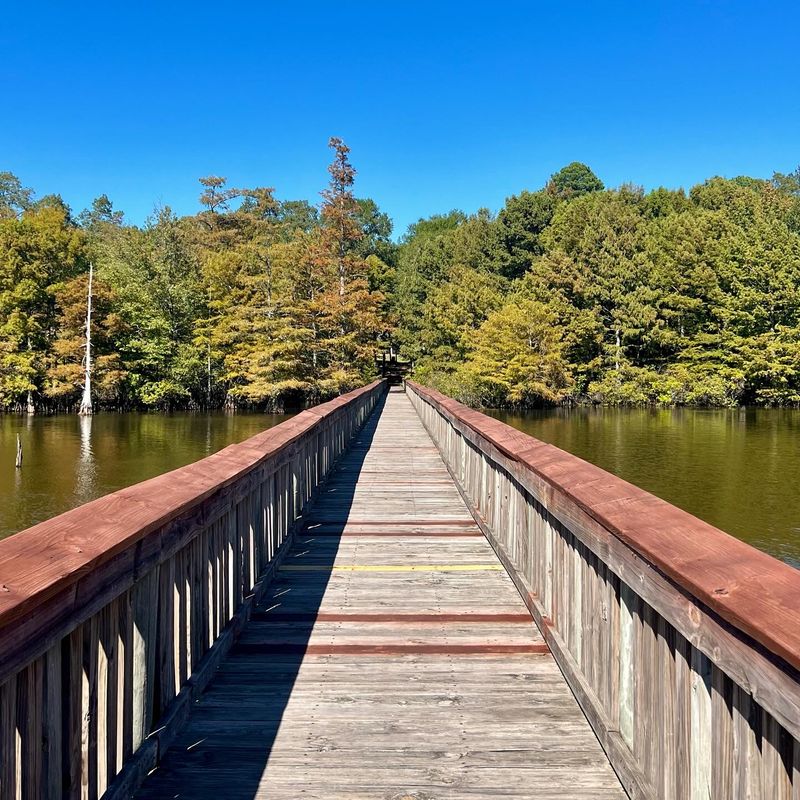 Lake D'Arbonne State Park, Farmerville