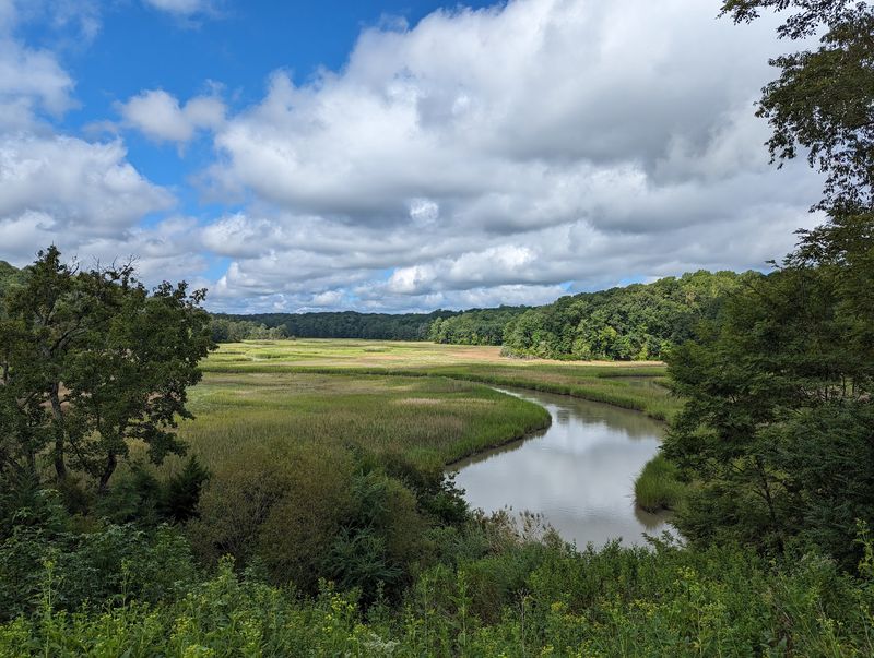10 Most Underrated State Parks In Virginia For A Quiet Weekend Away - Decor Hint York River State Park, Williamsburg
