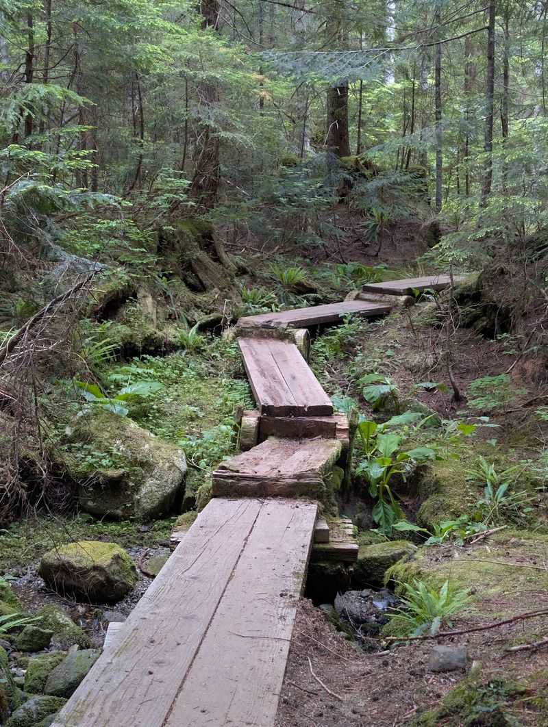 9 Free Washington Campgrounds Where You Can Escape Without Paying For The Campsite - Decor Hint Beaver Plant Lake Campground, Gold Bar